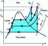 Figure 38 - Resuperheating cycle and steam extraction