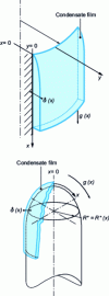 Figure 3 - Condensation on an axisymmetric body, according to 