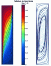 Figure 12 - Isotherm and streamline fields obtained for (Ra*(L) = 300, H/L = 6)