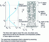 Figure 2 - Evaporation due to heating from below at a temperature above the saturation temperature [18].