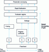 Figure 2 - Particle fluidization regimes according to Geldart classification groups