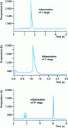 Figure 6 - Examples of simulated auto-ignition types for an n-butane/oxygen mixture with a richness of 3.25 in a closed reactor 