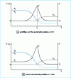 Figure 10 - Profiles of passive scalar ZF, mass fractions of fuel YF and oxidizer YO and temperature T in the Burke-Schumann flame