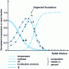 Figure 16 - Effect of fluctuations on cross-sectional profiles in a diffusion flame