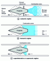 Figure 7 - Stato effect gas pedal (from )