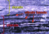 Figure 10 - Observation of lithotypes