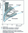 Figure 13 - Natural and artificial evolutionary paths. Application to different macerals and line heads