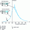 Figure 1 - Combustion diagram under knocking conditions