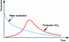 Figure 4 - Production profile of a coal seam gas well