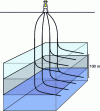 Figure 5 - Illustration of multiple drillings from a drilling platform