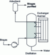 Figure 6 - Schematic diagram of a cryonics process