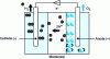 Figure 1 - Proton exchange membrane polymer electrolysis (doc. LSPM CNRS)