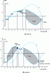 Figure 12 - Double- and single-acting cycle with 24-group pumping + 6 RD valves. Level variation [5]