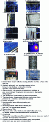 Figure 30 - Examples of pathologies observed on photovoltaic modules