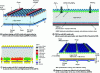 Figure 4 - Architectures for the world's highest-performance homojunction cells