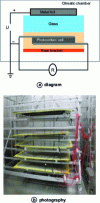 Figure 20 - Protocol [15]