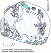 Figure 2 - General view of the Poudrey cave [8].