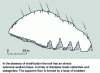 Figure 3 - Cross-section of the Kocain hall, Turkey [8].