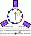 Figure 13 - Schematic representation of a three-phase bipolar asynchronous generator