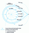 Figure 16 - Characteristic hydrodynamic diagram of the doublet: visualization of streamlines