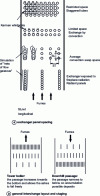 Figure 28 - Spacing and general arrangement of exchangers