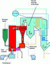 Figure 32 - LFC biomass boiler (doc. Foster Whealer)