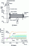 Figure 36 - Reversal and pulsation of natural circulation [32].