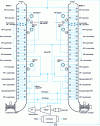 Figure 9 - Diagram of a 2-2-1 3P RS combined-cycle power plant