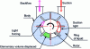 Figure 18 - Cutaway view of a liquid ring pump