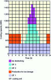 Figure 26 - Example of a cold load profile