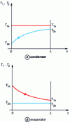 Figure 19 - Temperature trends for condenser and evaporator