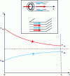 Figure 6 - Longitudinal temperature profile in a co-current exchanger