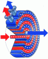 Figure 18 - Spiral heat exchanger (doc. Alfa Laval)