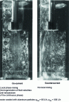 Figure 5 - Liquid-liquid flow visualization