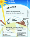 Figure 1 - Ozone layer
