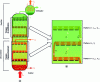 Figure 13 - Distillation column and theoretical tray