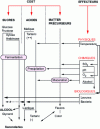 Figure 11 - Winemaking phenomena and effectors