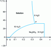 Figure 5 - Phase diagram of the binary mixture water-Na2SO4