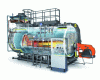 Figure 42 - Gas-fired fire-tube boiler