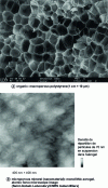 Figure 7 - Cellular materials