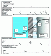 Figure 6 - The various exchange coefficients used in classical theories of mixture condensation