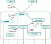 Figure 3 - Production pathways for aromatic metabolites from lactic acid bacteria (from )