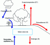 Figure 6 - Water flow in the soil-plant system