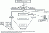 Figure 2 - General pathways of organic matter degradation under anaerobic conditions (adapted from [2])