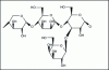 Figure 19 - Hemicellulose xyloglucan structure: xylose – β(1,4); mannose – β(1,4); glucose – α(1,3); galactose