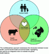 Figure 5 - The importance of the "One Health" concept