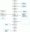 Figure 9 - Possible uses of exogenous enzymes in malting and brewing (according to [16])