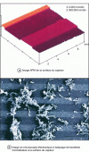 Figure 2 - Biosensor developed by Radke and Alocilja for the detection of E. coli O157:H7 [23]