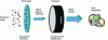 Figure 1 - Principle of a biosensor