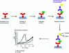 Figure 10 - Principle of the electrochemical immunosensor for PSA detection [26]